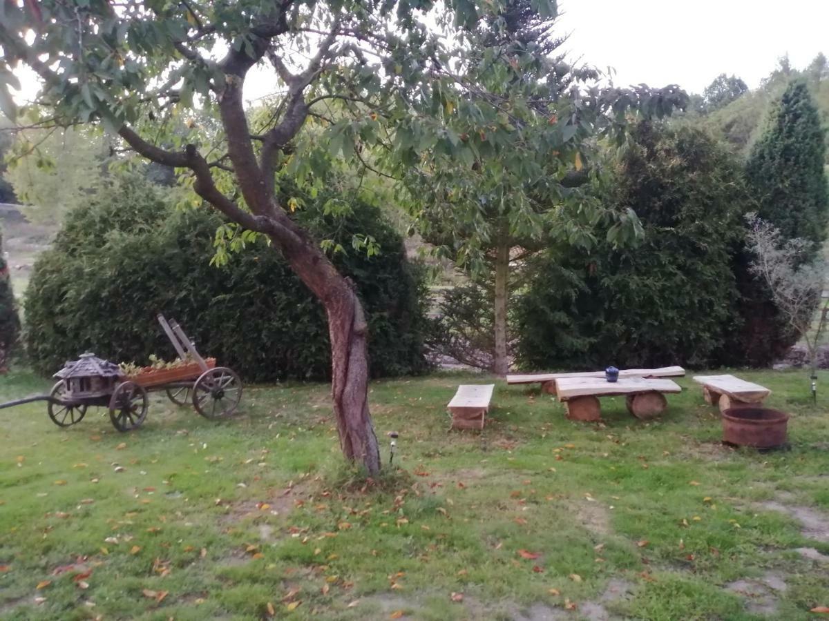 Villa Na Červené louce relax 1 Cheb Exterior foto